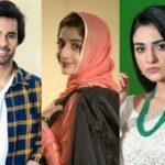 drama-serial-sabaat-to-go-on-air-from-today-1585465546-2858
