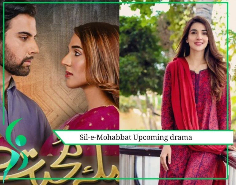  ‘Sil-e-Mohabbat’ starring Noor Hasan & Rabab Hashim set to go on air